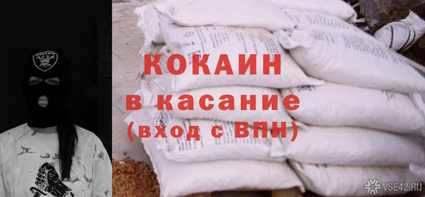 прущие грибы Ахтубинск