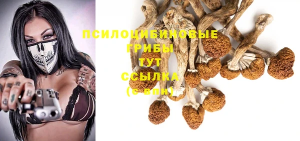 прущие крисы Бабаево