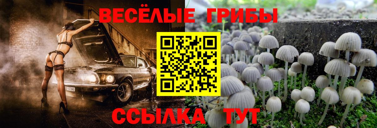 Псилоцибиновые грибы прущие грибы Орск