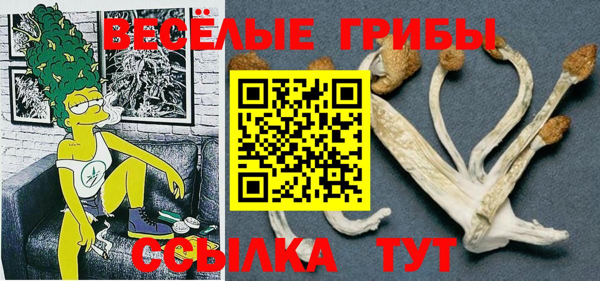 Галлюциногенные грибы MAGIC MUSHROOMS  Вход с VPN  Орск  Галлюциногенные грибы Magic Shrooms 